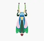 3D Insect Puzzle | Large Beetle