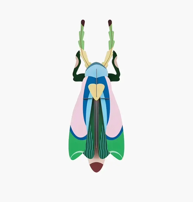 3D Insect Puzzle | Large Beetle
