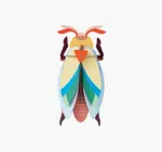 3D Insect Puzzle | Large Beetle
