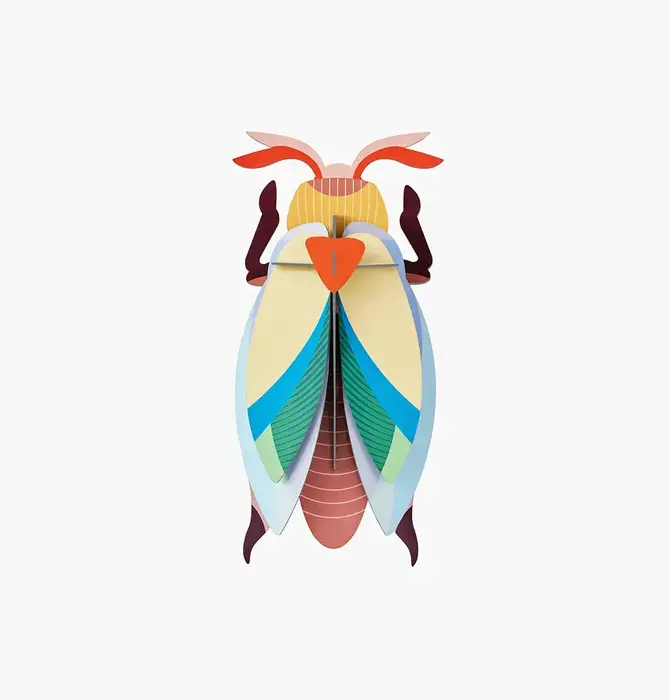 3D Insect Puzzle | Large Beetle