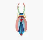 3D Insect Puzzle | Large Beetle