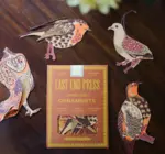Ornaments | Recycled Cotton Paper | Winter Birds