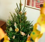 Ornaments | Recycled Cotton Paper | Winter Birds