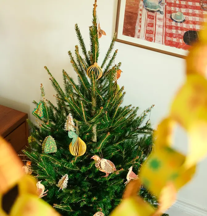 Ornaments | Recycled Cotton Paper | Winter Birds