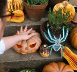 Ornaments | Recycled Cotton Paper | Spiders