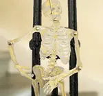 Ornaments | Recycled Cotton Paper | Dancing Skeletons