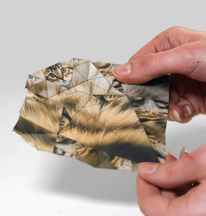 Origami Kit | Paper Pets