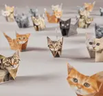 Origami Kit | Paper Pets