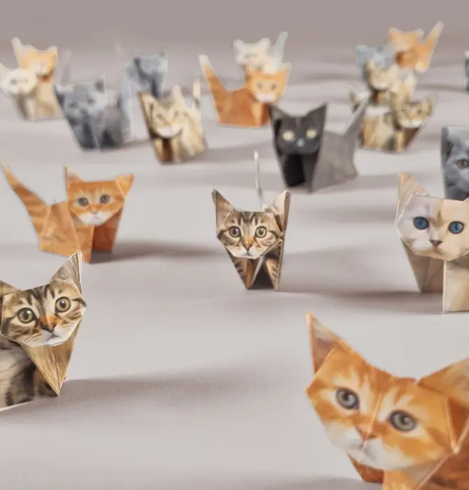 Origami Kit | Paper Pets