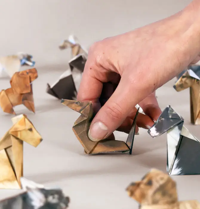 Origami Kit | Paper Pets