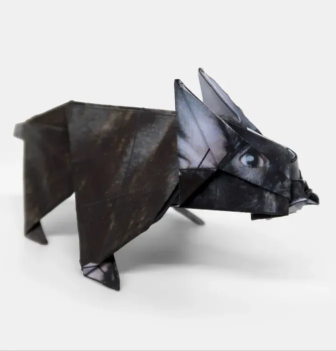 Origami Kit | Paper Pets