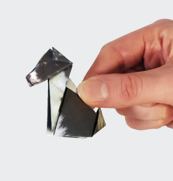 Origami Kit | Paper Pets