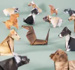 Origami Kit | Paper Pets
