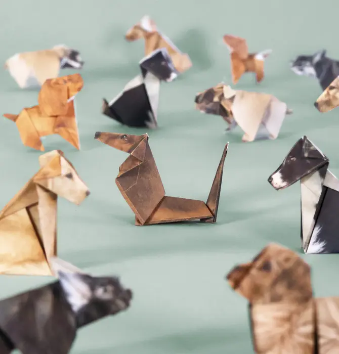 Origami Kit | Paper Pets