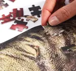 Puzzle | 360-Piece | T-Rex 3-Layer