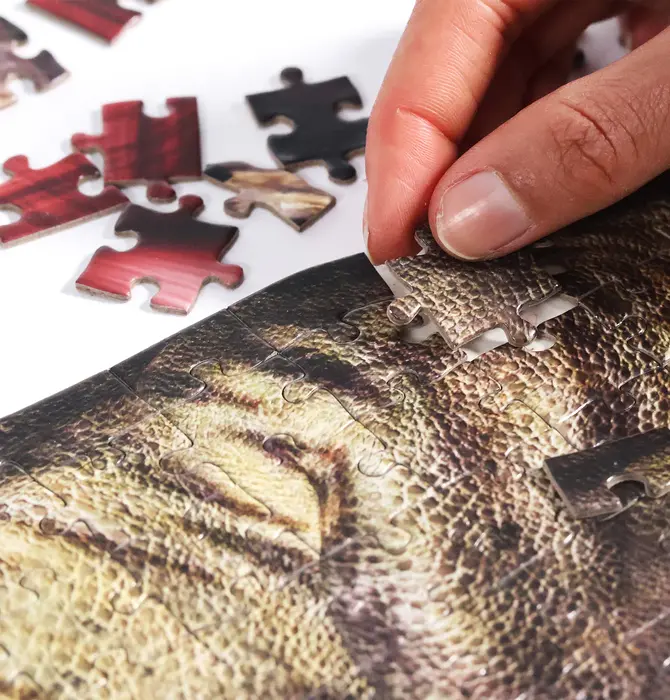 Puzzle | 360-Piece | T-Rex 3-Layer