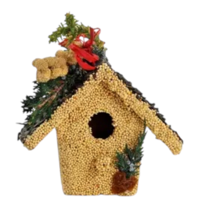 Bird Seed | Holiday Birdie Cottage