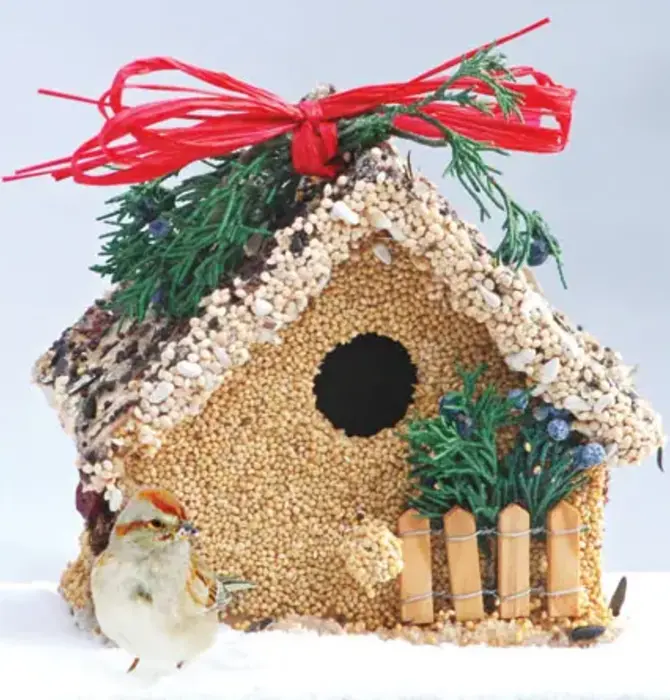 Bird Seed | Holiday Birdie Cottage