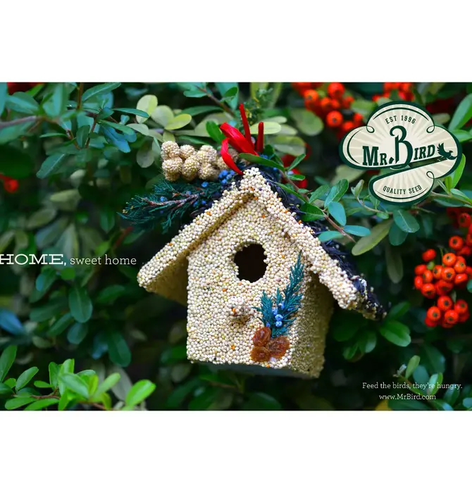 Bird Seed | Holiday Birdie Cottage