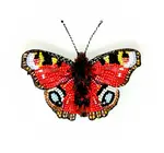 Brooch Pin | Butterfly | Anglais Peacock