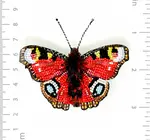 Brooch Pin | Butterfly | Anglais Peacock