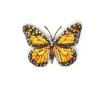 Brooch Pin | Butterfly | Wanderer Monarch