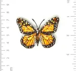 Brooch Pin | Butterfly | Wanderer Monarch