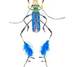 Brooch Pin | Large Beetle