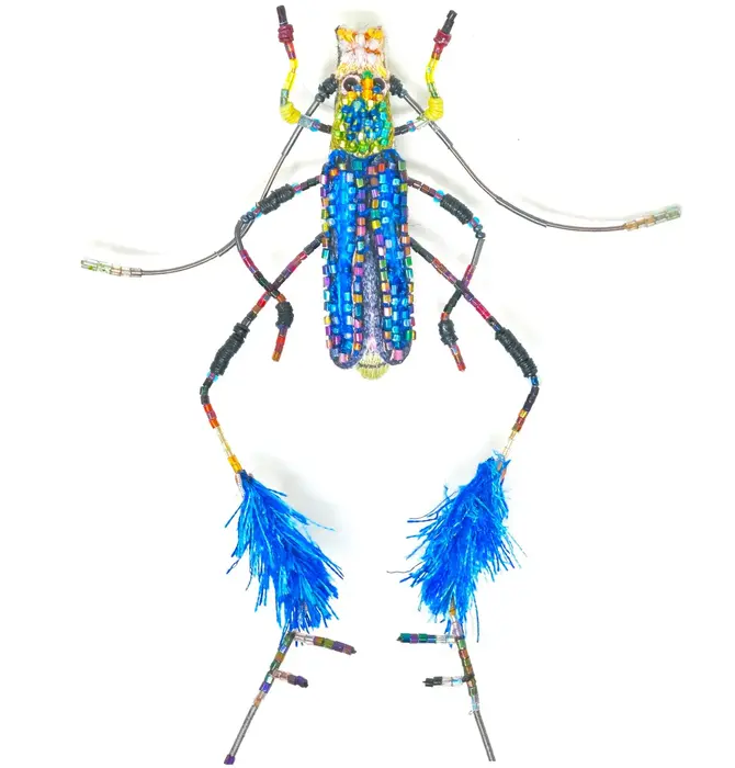 Brooch Pin | Large Beetle