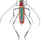 Brooch Pin | Large Beetle