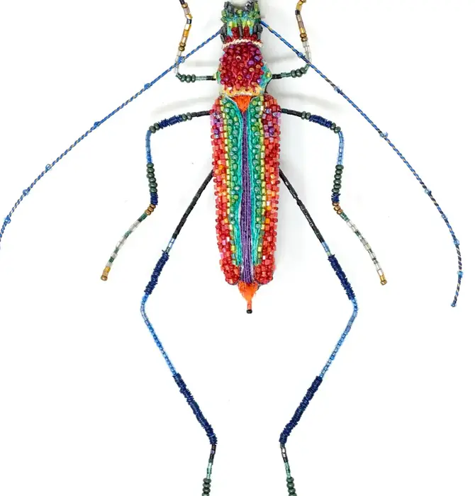 Brooch Pin | Large Beetle