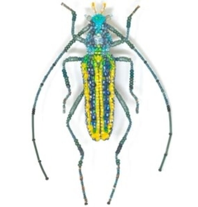 Brooch Pin | Large Beetle