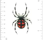 Brooch Pin | Redback Spider