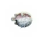 Brooch Pin | Puffer Fish