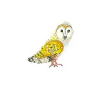 Brooch Pin | Golden Owl