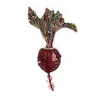 Brooch Pin | Beet