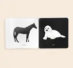 Books | Box Set of 3 | Baby's Tummy Time