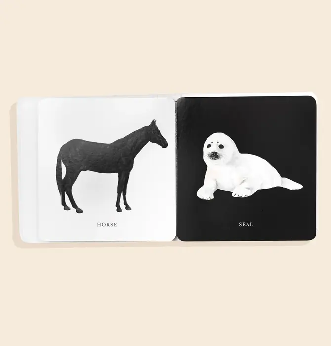 Books | Box Set of 3 | Baby's Tummy Time