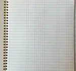 Notebook | Vintage Ledger Style