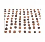 Candy | 12-PC Chocolate Tin | Vreeland Red