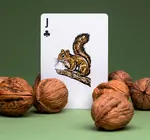 Playing Cards | Smokey Bear