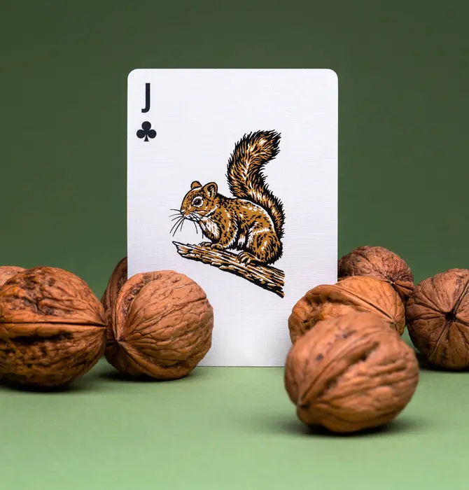 Playing Cards | Smokey Bear