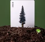 Playing Cards | Smokey Bear