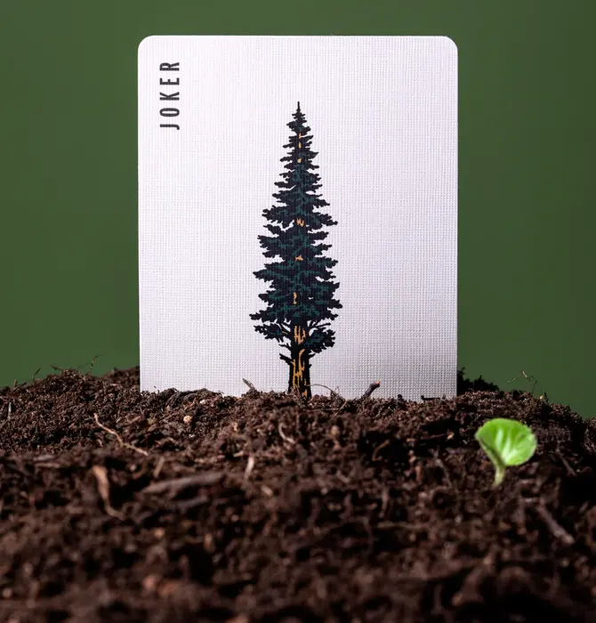 Playing Cards | Smokey Bear