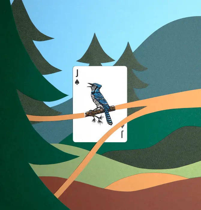 Playing Cards | Smokey Bear