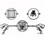 Playing Cards | Fantastique