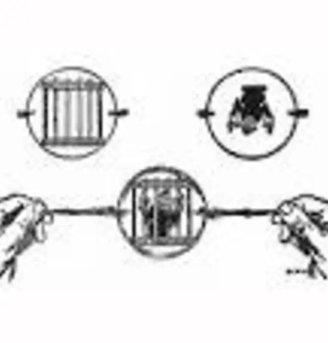 Playing Cards | Fantastique