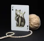 Playing Cards | Cabinetarium