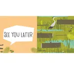 Board Book | Gotta Go, Buffalo