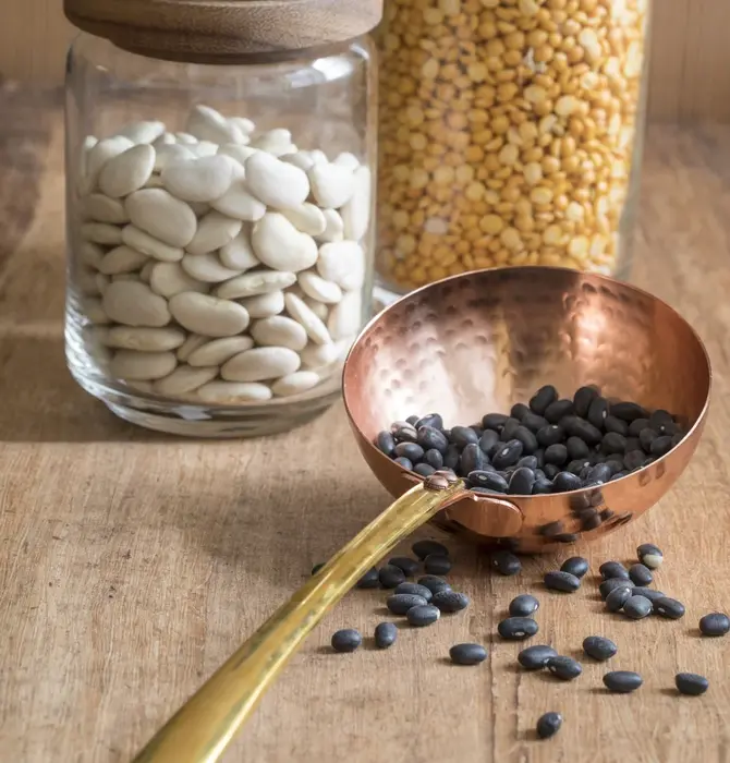 Ladle | Camden | Hammered Copper